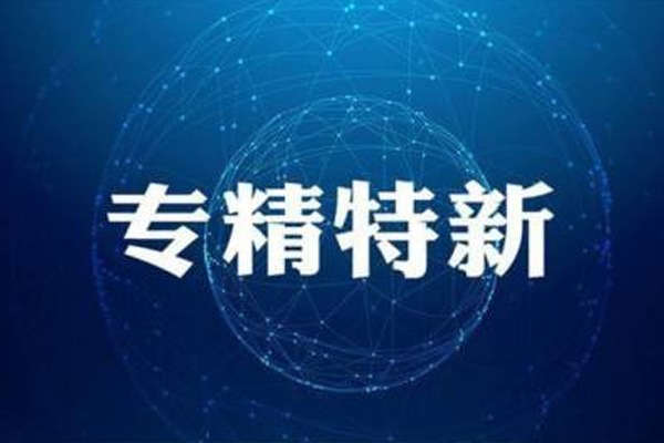 市中小企业服务局关于开展第七批专精特新“小巨人”企业申报辅导活动的通知